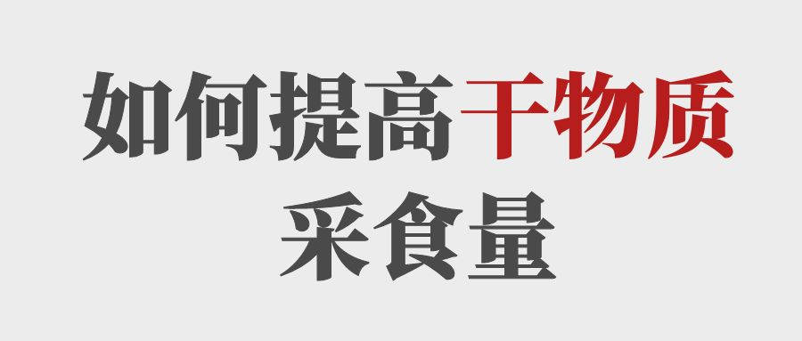 做到這5點提高育肥牛的干物質采食量！
